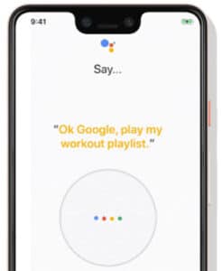 Google Assistant